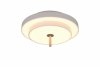 Lampa sufitowa plafon LED okrągły nowoczesny designerski ściemnialny KEATON 640210176 Trio